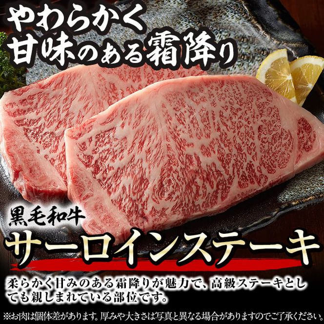 黒毛和牛ステーキ肉高級部位2種＜リブロース・サーロイン＞食べ比べ(計900g) b7-019