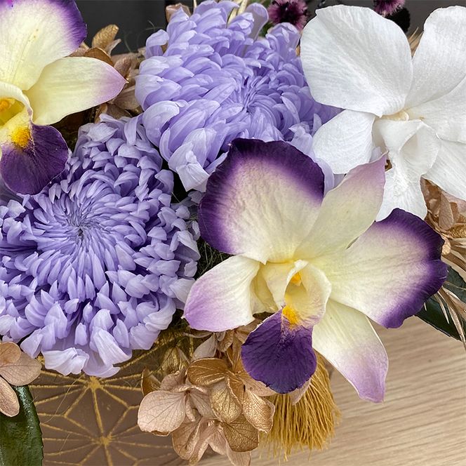 AJ167-1 プリザーブドフラワー【菊姫/紫】春日部市 シュガーパイン