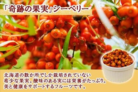 北海道 シーベリーソーダ 330ml×10本 シーベリー サイダー 炭酸飲料 サジー シーバックソーン 沙棘 スーパーフルーツ ミラクルフルーツ お取り寄せ 送料無料 十勝 士幌町【C01】