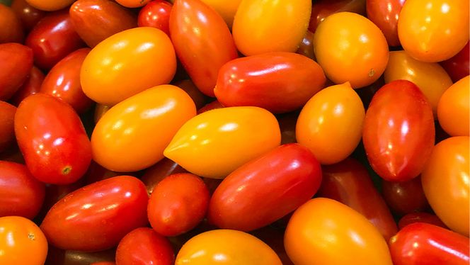 【 先行予約 】 スーパーフルーツ ミニトマト 約1kg 野菜 フルーツトマト フルーツ トマト とまと [AF096ci]
