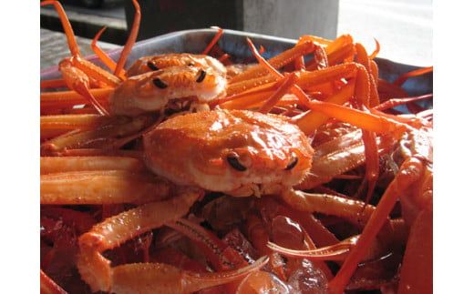【香住ガニ 生足 6肩 かにすきダシ付 冷凍】 本場 香住産 水揚げ 生足 加工冷凍 焼きがに かに鍋 かに汁 数量限定 兵庫県 香美町 香住 かに ベニズワイガニ 足 爪 日本海フーズ 07-35