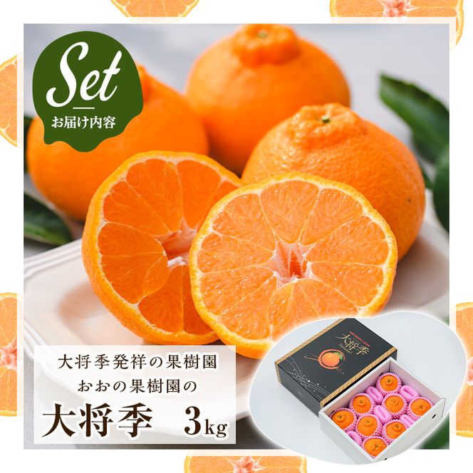 ＜先行予約受付中！2026年2月中旬以降順次発送予定＞数量限定！おおの果樹園の「大将季」(計3kg) 果物 フルーツ 果実 柑橘 ハウス栽培 無加温 みかん【おおの果樹園】akn087-03
