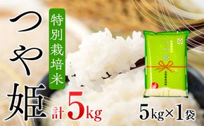 コシヒカリ発祥の地のブランド米 つや姫 5kg 令和6年産 2024年産【1057-011A】