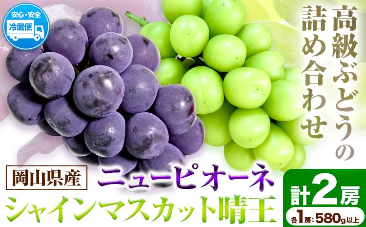 岡山県産ニューピオーネ(1房580g以上)&シャインマスカット「晴王」(1房580g以上)(令和7年産先行受付)[9月上旬‐10月中旬頃出荷][配送不可地域あり]---H-40a---