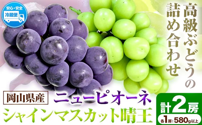 岡山県産ニューピオーネ（１房580g以上）＆シャインマスカット「晴王」（1房580g以上）（令和7年産先行受付）《9月上旬‐10月中旬頃出荷》【配送不可地域あり】---H-40a---