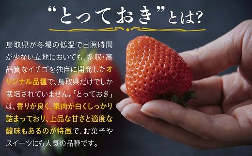 1610 鳥取県産とっておき「温泉いちごJUNBERRY」