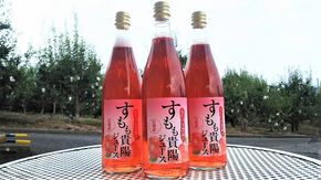 自家生産果実のみ使用！すもも貴陽ジュース6本セット　すもも スモモ 李 果物 くだもの フルーツ ドリンク 飲み物 濃厚 山梨 やまなし 富士川町 果汁入り