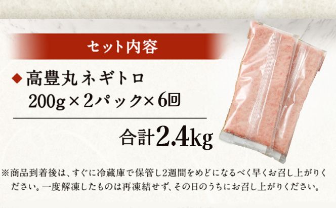 【6回定期便】 ネギトロ 合計2.4kg (400g×6回) 天然まぐろ 高品質 まぐろ まぐろたたき まぐろのたたき 訳あり 魚 惣菜 小分け 海鮮丼 手巻き寿司 冷凍 送料無料 故郷納税 室戸のネギトロ 室戸定期便 tk018