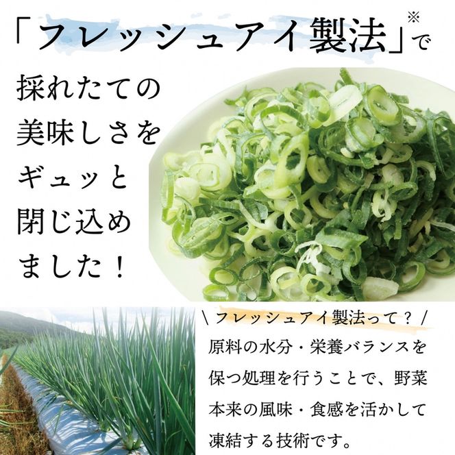 ＜こと京都＞ きざみ 九条ねぎ【冷凍・カップ】1.2kg （50g×24p) 《京都 伝統野菜 ネギ 使い切り 小分け ミニ 紙カップ》 ※離島への配送不可