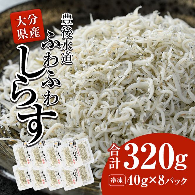  豊後水道産　ふわふわしらす (合計320g・40g×8袋) 冷凍 白洲 しらす 詰め合わせ 丼ぶり 魚 さかな ご飯 ごはん 炒飯 チャーハン パスタ スパゲティ サラダ 国産 大分県 パック 【CT02】【 (有)高橋商店】