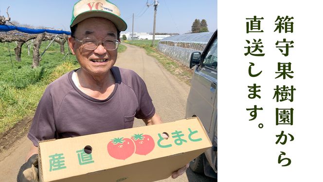 箱守果樹園 直送！ 「 王様トマト 」 1箱 4kg 野菜 トマト とまと [DE002ci]