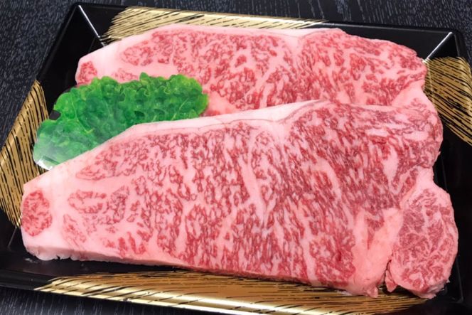 【数量限定】博多和牛 ロース 焼肉用 500g / 筑前屋 / 福岡県 筑紫野市 [21760386] 肉 牛肉 和牛 牛 ビーフ 国産牛 ブランド牛 焼肉 冷凍