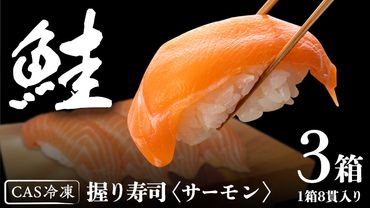 サーモン推し！ 冷凍握り寿司 24貫 CAS精密冷凍 すし 寿司 サーモン 鮭 ネギトロ [CT001us]