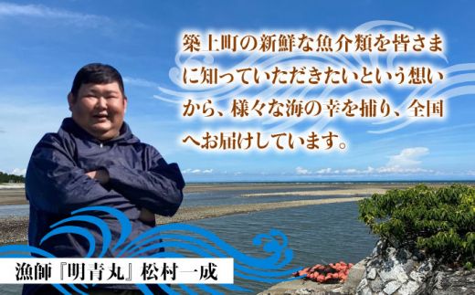 【先行予約】【2026年8月以降順次発送】豊前海産 バイ貝 1kg (20～35個前後)  《築上町》【明青丸】 バイガイ 貝 カイ[ABCB004]