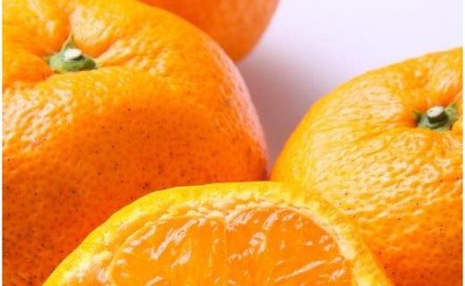 [訳あり]和歌山有田みかん約10kg(S～Lサイズいずれかお届け）★2026年11月中旬頃より順次発送［TM82w］ BZ087