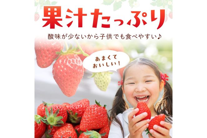 【先行予約／数量限定200】京都・まつみやファームのいちご（あきひめイチゴ）4パック（2025年3月中旬～発送）　DE00080