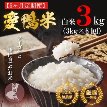 L-15 令和5年産【6ヵ月定期便】アイガモと一緒に育てたお米「愛鴨米・白米」3kg×6回　無農薬
