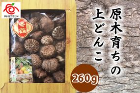 肉厚・厳選！原木育ちの上どんこ260g｜栃木県 矢板市 しいたけ 椎茸 産地直送  