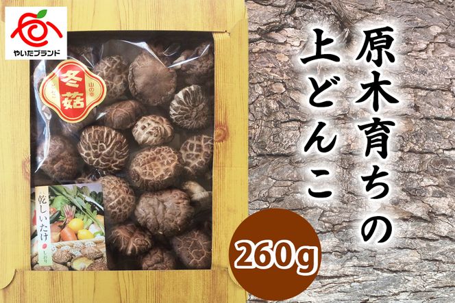 yȖ،szEII؈炿̏ǂ260gbȖ، s  ő Yn