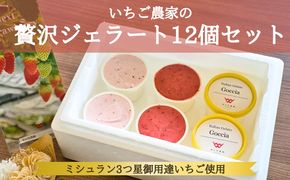 いちごよりいちごを感じるジェラート＆季節のおすすめ 12個入り