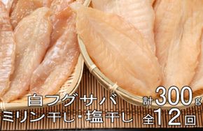 銀フグミリン干・塩干セット（３００ｇ）【全１２回】iz016