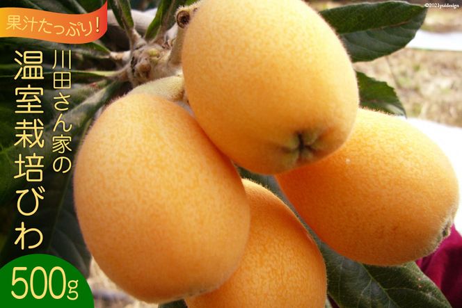 y茧szAF220yߘa8Nxoוzʏ`ՂIcƂ͔̉|т 500g [т r t[c ʕ 茧 s]