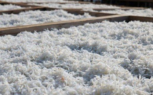 478.上干ちりめん400g×2箱(800g)(ks-1)(A478-2)