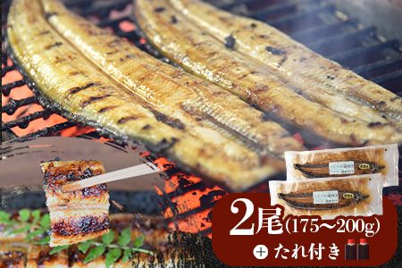 ＜うなぎ蒲焼 （175～200g）×2尾＞ 翌月末迄に順次出荷【c972_un_x3】