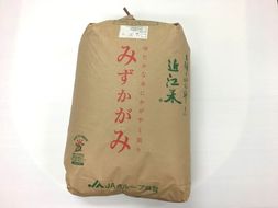 【令和6年産】環境こだわり米「みずかがみ」玄米【30㎏×1袋】【K073U】