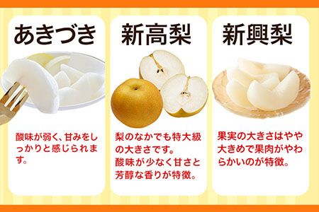 梨 完熟梨 ( あきづき 新高梨 新興梨 のいずれか) 約4.5-5kg (8～18玉) フルーツ 果物 旬 熊本県長洲町産 大渕観光梨園 《9月上旬-12月中旬頃出荷》フルーツ 梨 なし---sn_obcns_ae912_26_15000_5kg---