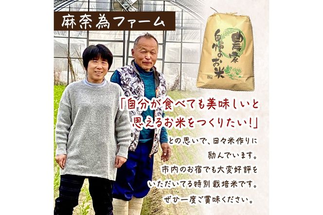2025年産 京都・京丹後峰山 特別栽培米コシヒカリ 10kg 【白米 2025年産 京都・京丹後峰山 特別栽培米コシヒカリ 10kg 【白米