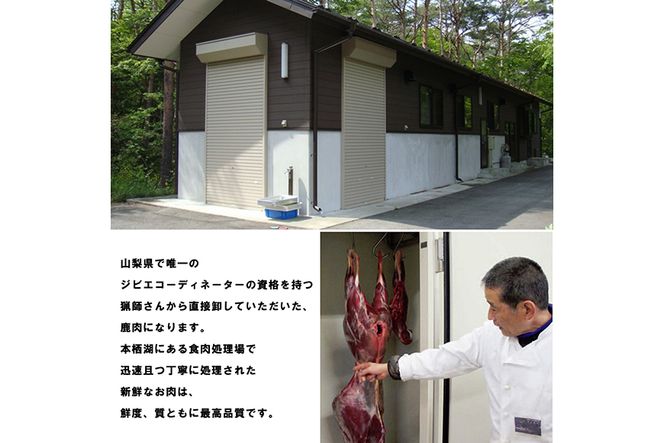 無添加 ドッグフード 鹿肉ジャーキー 100g [TMY 山梨県 韮崎市 20743159] ペット 犬用 おやつ ジャーキー