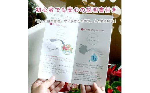 C052 宿根草「ヒューケラの花うるるハンギング寄せ植え」Ｍサイズ