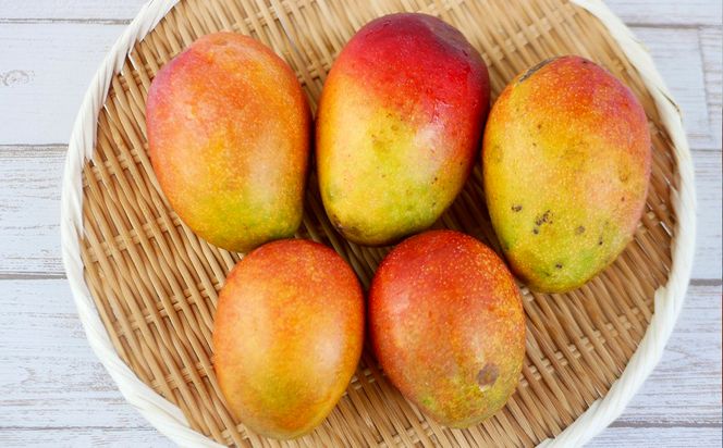 【先行受付】【2026年発送】生産組合が育てるアップルマンゴー 訳あり品 約1.5kg - 先行予約 沖縄県産 産地直送 南国フルーツ 旬の味覚 季節の果物 ご自宅用 家庭用 沖縄県 八重瀬町