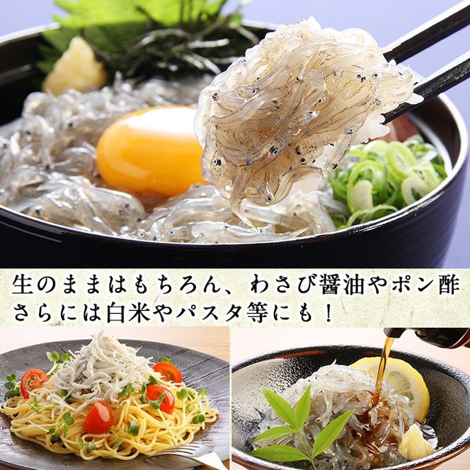 しらす~さん専用 0113401a】鹿児島県産生しらす(冷凍)(計600g・100g×6パック