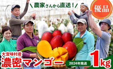 濃密マンゴー《優品・1Kg》【2024年発送】大宜味村農家さんから直送！