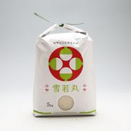 渡會さんのうまい米！雪若丸 5kg 令和7年産 2025年産 ブランド米 コシヒカリの原点、亀の尾発祥の地 庄内