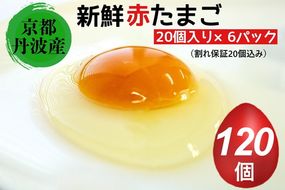 新鮮 卵 京都・丹波の赤たまご 100個＋割れ保証20個 計120個◇ ｜ 生卵 たまご 鶏卵 小分け 贈答 ギフト ※北海道・沖縄・離島への配送不可