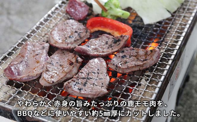 森のジビエ 鹿肉バーベキュー用 600g A-JJ-A18A