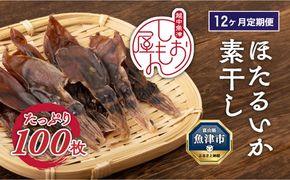 【12か月定期便】ほたるいか 素干し 100枚 ｜ おつまみ 肴 ハマオカ海の幸 定期便 魚貝類 干物 加工品 いかの干物 ホタルイカの干物 お酒のあて 日本酒に合う 晩酌 ※北海道・沖縄・離島への配送不可