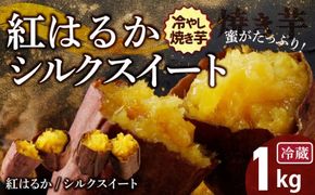 焼き芋 蜜たっぷり！冷やし焼き芋 ひえひえ君 1kg(500g×2) 紅はるか＆シルクスイート 芋スイーツ　H047-029