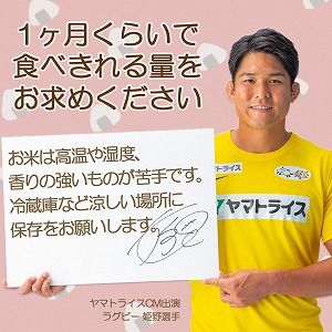 愛知県産コシヒカリ 5㎏ ※定期便6回 こめ コメ ごはん 安心安全なヤマトライス 米 白米 国産 精米 5キロ H074-697