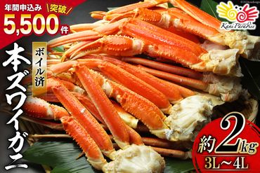 ボイル済み 本ずわいがに 脚 3L～4L 総重量2kg [カネダイ 宮城県 気仙沼市 20562924] ズワイガニ ずわい蟹 ズワイ蟹 ずわい ズワイ 蟹 カニ カニ脚 蟹脚 足 ボイル