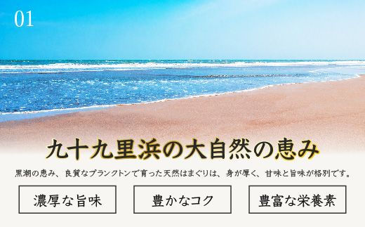 ＜１２ヶ月毎月届く定期便!＞九十九里浜産活天然はまぐりサイズお任せ2kg入り SMBB007