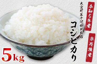 令和5年産　京都丹後産　大宮町五十河特別栽培米コシヒカリ5kg（5kg×1袋）　ST00033