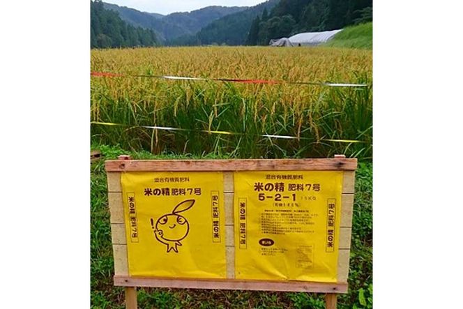 植物有機肥料100%使用／京丹後米～水と文化が育んだ～野間のこしひかり 3kg　FP00001