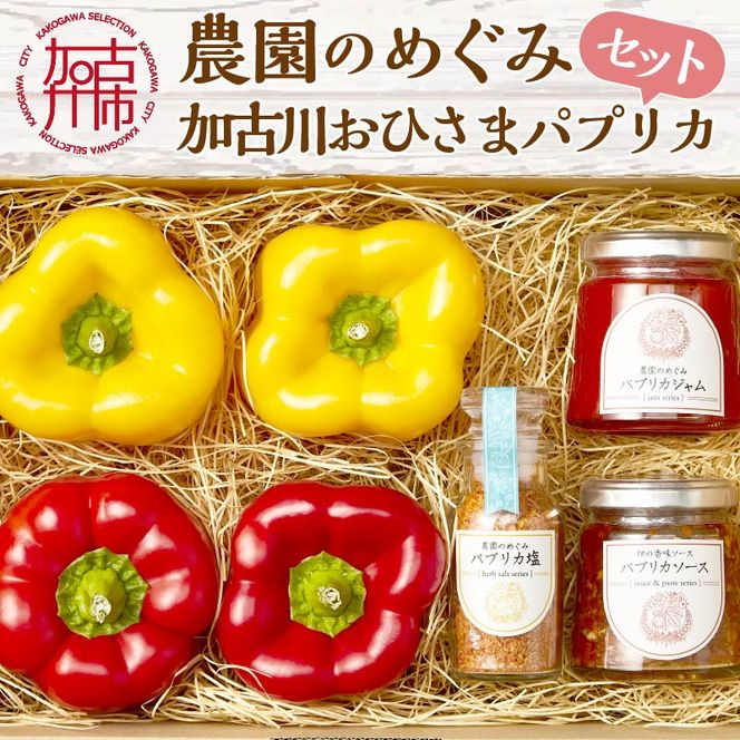 yɌÐszԌ聙Ð삨Ђ܃pvJWE\[XE\gy8{菇zs pvJ W \[X \g Ђ܃pvJ Y  v[g    ty2401F08201z