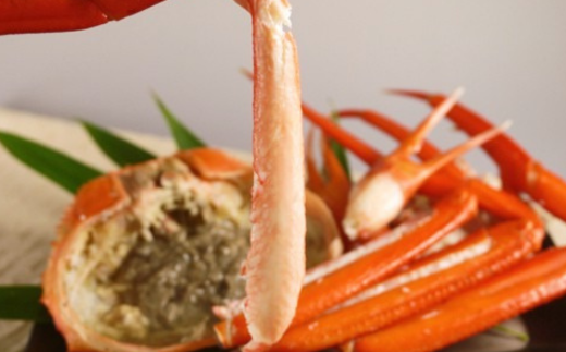 【 訳あり 浜茹で香住ガニ 計1.5㎏以上(500g×3匹)】冷蔵 チルド ボイル 茹で香住ガニ  紅ずわいがに 紅ズワイガニ ベニズワイガニ 強い甘み  兵庫県 香美町 香住 17-24
