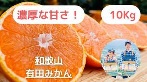 【農家直送】濃厚な甘さの早生みかん10kg/【厳選小みかん】みかんのみっちゃん農園 	DM003