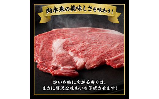 宮崎牛 サーロインステーキ 400g 【 肉 牛肉 国産 宮崎県産 黒毛和牛 サーロインステーキ 】[D11425]